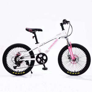 Free Shipping High Carbon Steel <b>Frame</b> Bysicle 20/22 Inch <b>Bicycle</b>//velo Vtt Cycle for Men and Women Ns-sd011 Kids Bike - Product Image 4