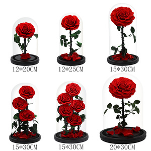 Vie éternelle Immortel Rose Fleur Séchée Artificielle Préservée Tête Roses Noël Graduation Thanksgiving Coffret Cadeau Belle - Product Image 1