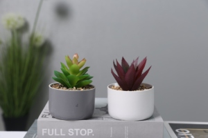 Jardinière succulente moderne européenne personnalisée petits Pots de plantes décoratifs en céramique pot de bonsaï de fleur en terre cuite d'intérieur pour plantes - Product Image 5