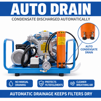 Compresseur d'air respirable TDR-H-W 330 bar Monophasé Arrêt automatique Purge automatique 140 L/min Portable SCBA Lutte contre l'incendie Plongée sous-marine