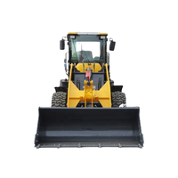 PENGIRIMAN GRATIS Mini Loader Wheel Loader 1ton 2ton 3ton 5ton Harga Multifungsi Front End Loader Dijual