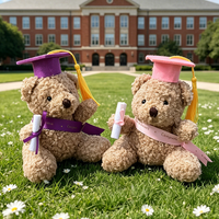 Mini ours en peluche pas cher pour la remise des diplômes, cadeau souvenir, décoration, petit ours en peluche pour les étudiants