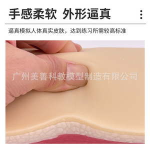 Modèle de simulation de peau en forme d'arc pour l'incision chirurgicale et la suture, modèle d'entraînement à la suture cutanée pour l'enseignement médical - Product Image 5