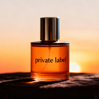 Spray Corporel Parfum Boisé Naturel Longue Durée Haute Qualité Million Oil Meilleurs Parfums Arabes de Luxe pour Hommes en Gros 30/50/100ml