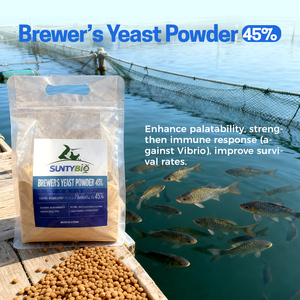 Fabbrica Della cina lievito di Birra in anguilla feed - Product Image 1