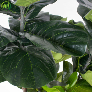 Trong Nhà Trang Trí Bất Cảm Ứng Nhân Tạo <span class=keywords><strong>Fiddle</strong></span> Lá Vả Cây Nhựa Màu Xanh Lá Cây Cây Với Ficus Bán - Product Image 4