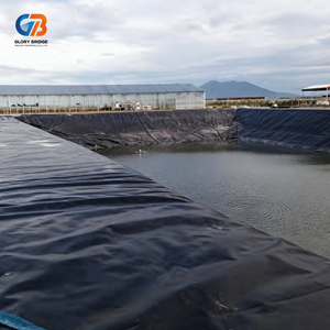 Geomembrana de HDPE para Almacenamiento de Estiércol de Ganado y Aves de Corral, Impermeable y Anticorrosiva - Product Image 4