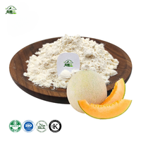 Poudre de jus de melon cantaloup de haute qualité
