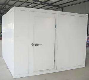 Chambre froide de petite taille, prix, chambre froide réfrigérée pour la viande et les fruits de mer - Product Image 4