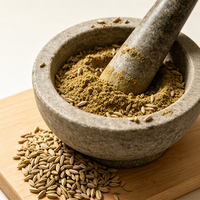 Fabricant chinois de poudre de fenouil pure naturelle de haute qualité, prix de gros, épices en vrac pour assaisonnement de viande