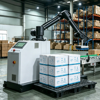Unidad Robótica de Manipulación con Control Servo Preciso y Ahorro de Energía para Carga y Embalaje de Cajas en Fábrica, Robot Paletizador