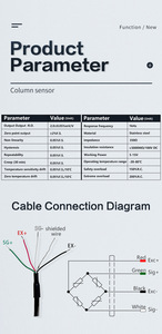 Kolomtype <span class=keywords><strong>Load</strong></span> <span class=keywords><strong>Cell</strong></span> 50ton Compressie Weeglastcellen - Product Image 5