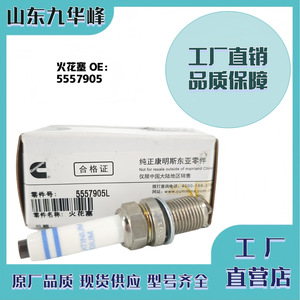 หัวเทียน 5557905 สำหรับเครื่องยนต์ Dongfeng 15N CNG - Product Image 5