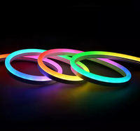 Luz LED de neón de silicona personalizada de alto brillo IP68, tira de luz RGB Flexible para pared de suelo para paisajes interiores y exteriores