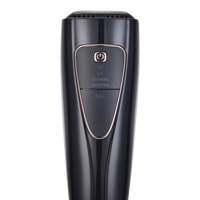 Appareil de soin de la peau portable haute énergie, refroidissement par glace, lumière double bande 500-600NM 900-1800NM, anti-rides, anti-taches, appareil de beauté