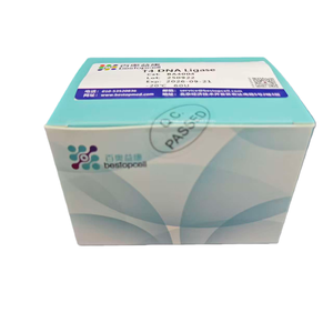 T4 dnaigase/dnase मुक्त | प्रमाणित आणविक जीवविज्ञान ग्रेड - Product Image 1