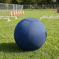 Funda Protectora para Balón de Fútbol, Resistente al Agua, para Perros y Caballos, Tamaño Personalizado, Marca Leadershow