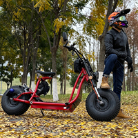 Scooter Eléctrico Inteligente de Dos Ruedas, Scooter Eléctrico de Movilidad para Viajes, Fábrica