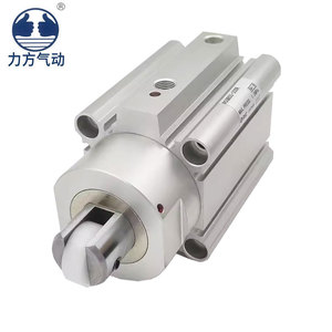 气动管件RSDQB40-25D/RSDQB40-25DF/DL/BK/TG/B双作用弹簧缸体，带电机黄铜/塑料体 - Product Image 5