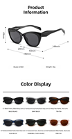 Lunettes de soleil œil de chat tendance, monture écaille de tortue en PC, protection UV400, style rétro, personnalisables pour femmes et hommes, idéales pour l'extérieur