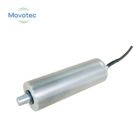 Moteur à tambour électrique OEM personnalisé de 50 mm, 60 mm, 24 V, 48 V avec roulement à rouleaux – Nouveau