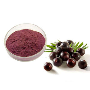 Fabricante Fornecimento Açaí Berry Extract Água-Solúvel Açaí Frutas Pó Açaí Pó Berry - Product Image 2