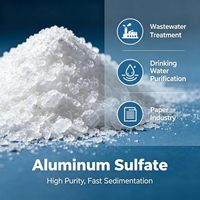 Produsen Bahan Kimia Cairan Aluminium Sulfat Flokulan Sedimentasi Cepat