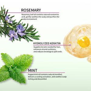 Après-shampoing à l'extrait de plantes naturelles Romarin Menthe Apaise le cuir chevelu Nourrit les cheveux Réduit la casse des cheveux Produit de soin capillaire élastique - Product Image 5
