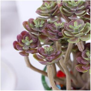 Planta Artificial Blanca, Creativa, Moderna, Ecológica, Suculentas, Decoración Navideña para el Hogar, Arreglos de Aspecto Natural para Interiores - Product Image 6
