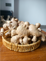 Gingembre blanc frais de qualité supérieure, gingembre chinois en racine, 25 kg, norme d'exportation pour l'assaisonnement alimentaire, par Xinyouju