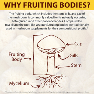 Extrato de Planta SOLOTREE, Gotas de Cogumelo Lion's Mane para Memória e Foco, Bem-Estar Mental, Gotas Líquidas de Cogumelo Lion's Mane - Product Image 3