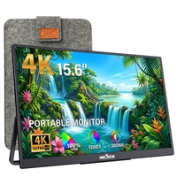 Écran d'extension pour ordinateur portable 4K noir de 15,6 pouces, contraste 1200:1, angle de vision large de 178°, luminosité de 300 nits pour le travail de retouche photo