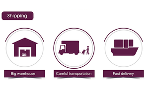 Günstiger Seefracht versand für LCL Truck ing <span class=keywords><strong>Maritime</strong></span> Internat ional Logistics Services <span class=keywords><strong>Transport</strong></span> agent in die USA - Product Image 4