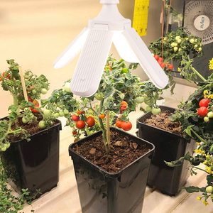 Ampoule <span class=keywords><strong>LED</strong></span> pliable de haute qualité 40W, <span class=keywords><strong>lampe</strong></span> de croissance horticole à spectre complet pour plantes E27 - Product Image 6