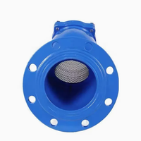Filtre à grille en fonte ductile GL41W-16Q avec écran en acier inoxydable et embout à bride