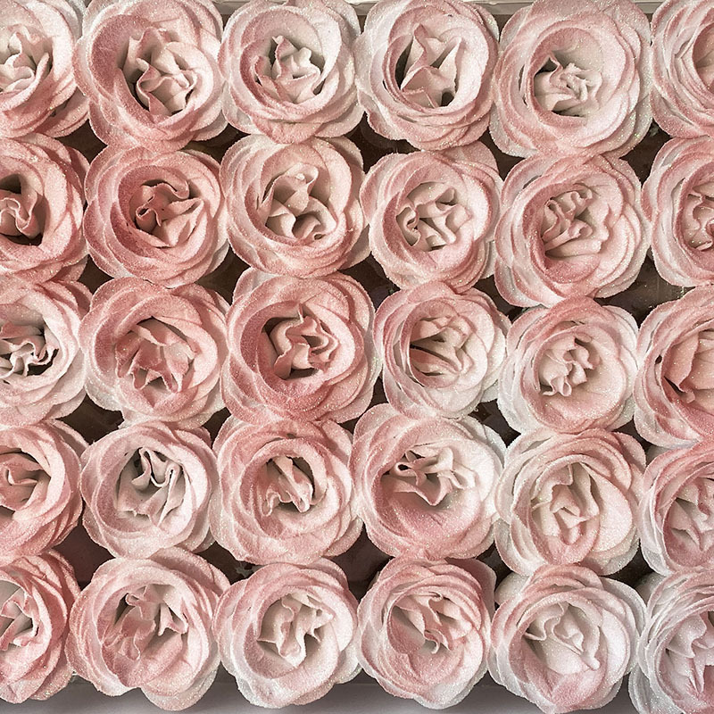 Rosa flamenco