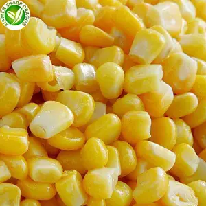 IQF Best Frozen Fresh Organic Sweet Whole Yellow Corn Kernel Freezing Without Blanching Wholesale Price Factory Bulk In A Bag