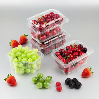 Boîte en plastique PET pour l'emballage des fruits rouges, tomates cerises, raisins, conteneur d'emballage en blister personnalisé en forme de coquille, fabriqué à Qingdao