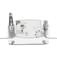 Portable mésothérapie soins de la peau visage blanchissant électroporation mésothérapie aiguille sans machine faciale