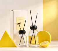 Bouteille vide en gros pour diffuseur de parfum sans flamme, diffuseur à bâtonnets sans flamme pour chambre et salon