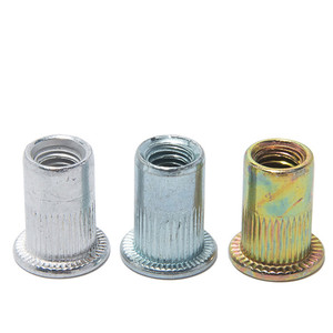 Haute qualité M2 M3 M4 M5 M6 M8 M10 1/4 5/16 3/8 acier inoxydable acier au carbone Rivnut tête plate tête fraisée écrou à <span class=keywords><strong>rivet</strong></span> hexagonal - Product Image 3