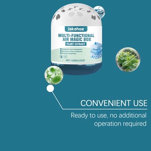 Scatola Magica per Purificazione dell'Aria Interna Rimozione Polvere Profumo Naturale di Menta Deodorante a Lunga Durata Assorbe Odori Deodorante per Ambienti Domestici - Product Image 3