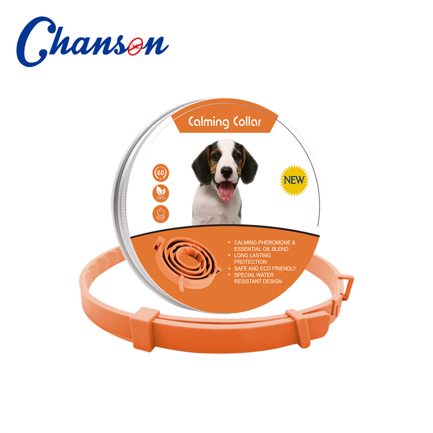 Chien orange
