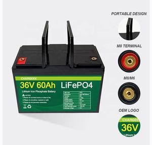 بطاريات قابلة للتخصيص 12 فولت 24 فولت 36 فولت 48 فولت 72 فولت 20 أمبير 30 أمبير 50 أمبير 60 أمبير 100 أمبير 120 أمبير حزمة بطارية ليثيوم فوسفات للطاقة الشمسية - Product Image 2