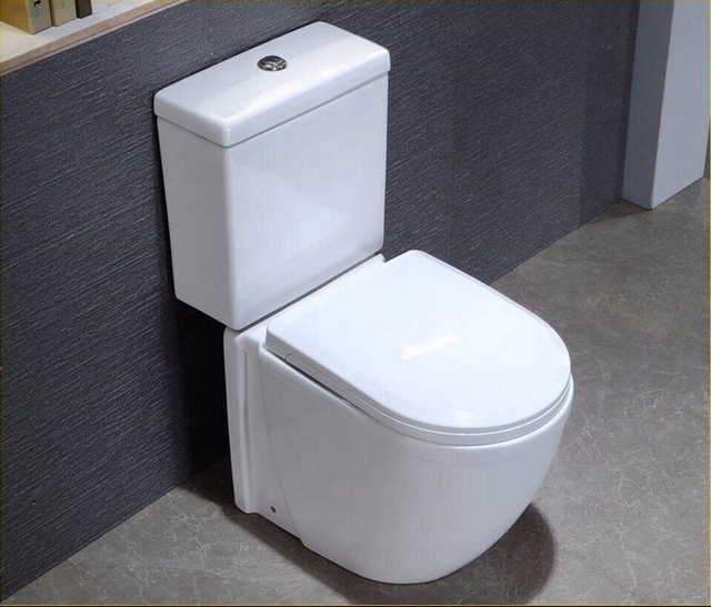 Cheap Price Bathroom WC Water Closet Washdown Two Piece Toilet Seat