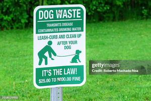 Köpek atığı sağlık için bir tehdittir lütfen açık tabela tabelasından sonra temizleyin lütfen evcil hayvanınızdan sonra temizleyin - Product Image 5