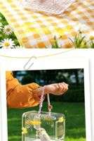 Cage de voyage transparente portable pour perroquet, transporteur d'oiseaux respirant avec bouteille d'eau, vue panoramique claire