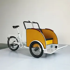 DAPU 250W Motorized Adult Passenger Tricycle Outdoor Advertising Park Tour Velo Taxi Hydraulic Disc Brake Rickshaw