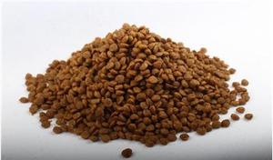 Nhà Máy Sản Xuất Thực Phẩm Và Đồ Uống 380V/50HZ CE/BV/TUV Thức Ăn Nổi Cho Cá Viên/Máy Đùn Thực Phẩm/Máy Làm Trục Vít Đôi - Product Image 6