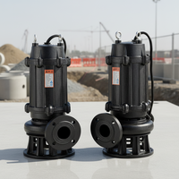 Pompe submersible pour eaux usées de type WQ certifiée 380V avec interrupteur à flotteur, prix usine, pour stations de relevage d'eaux usées industrielles et de surpression de puisards